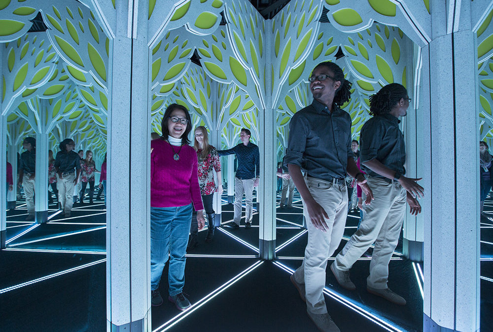 Numbers in Nature: A Mirror Maze